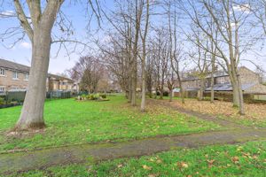 Photo 21- click for photo gallery